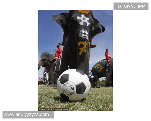 燃情绿茵猜球星足球动画带你体验竞技与智慧的双重魅力