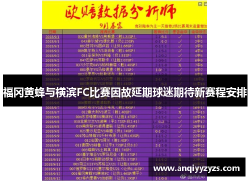 福冈黄蜂与横滨FC比赛因故延期球迷期待新赛程安排